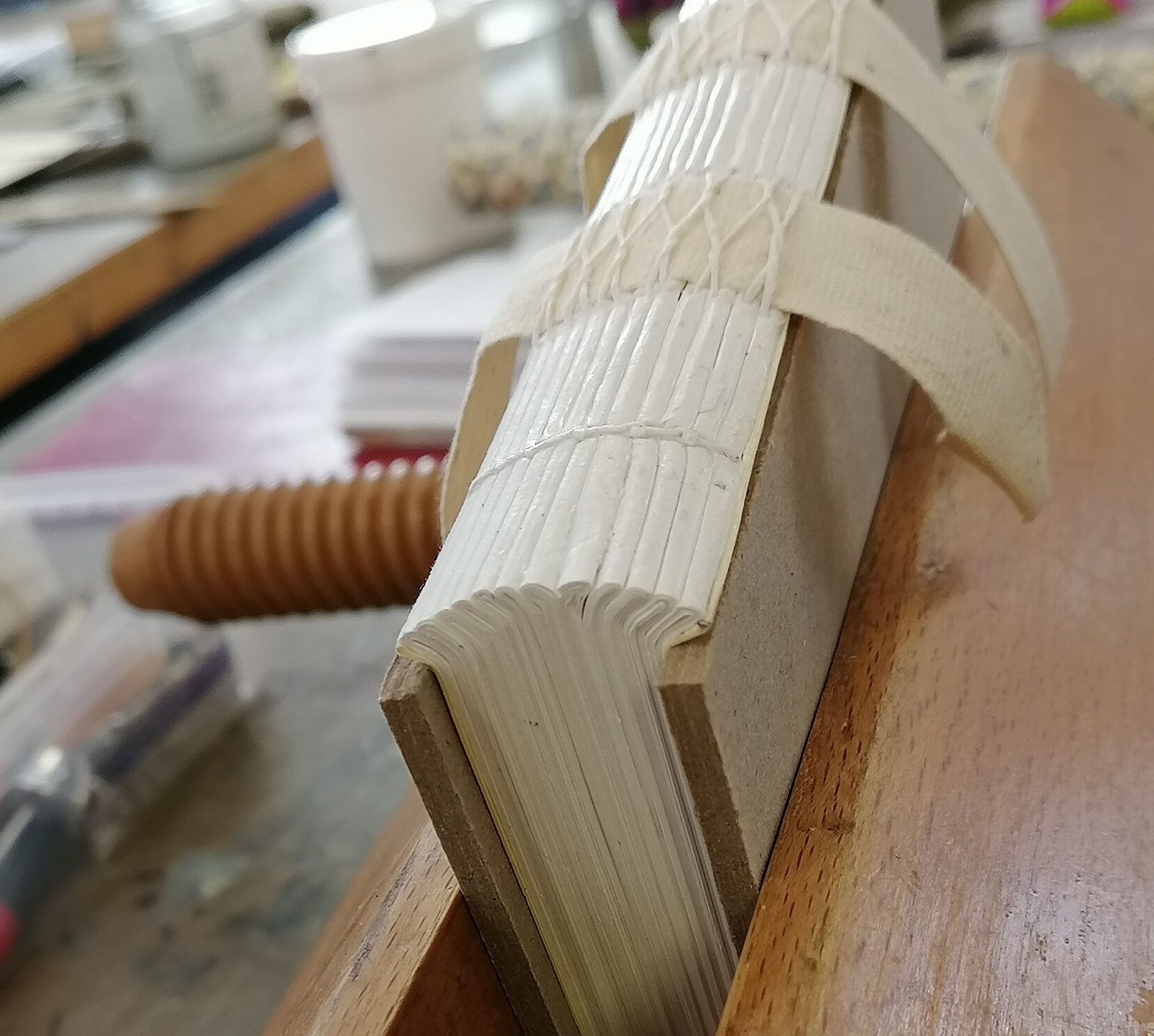 spine of book