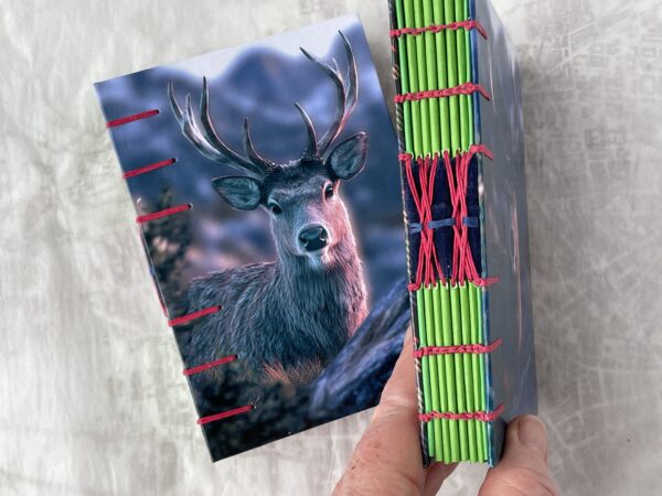 Highland Stag coptic book, green spine papers red thread